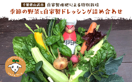 【自家製堆肥による特別栽培】季節の野菜と自家製ドレッシング詰め合わせ ／ 野菜 やさい ドレッシング 自家製  千葉県 山武市 SMBP002