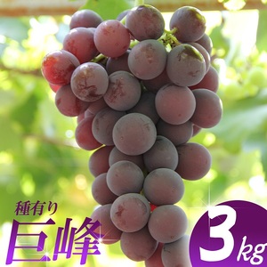巨峰 約3kg 【simo0002】