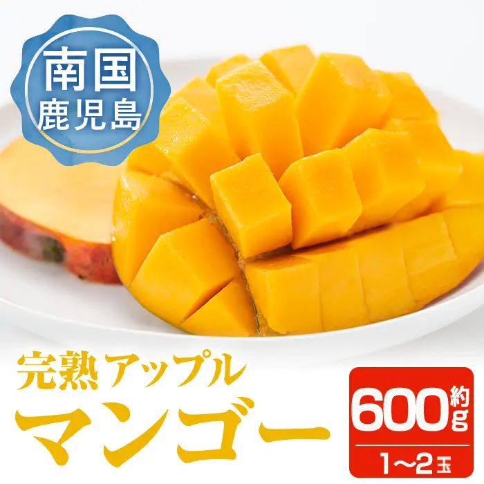 ＜先行予約受付中・2026年6月下旬～7月下旬頃に発送予定＞＜数量限定＞完熟アップルマンゴー「紅」(約600g) マンゴー 果物 フルーツ【大徳産業】A495-v02