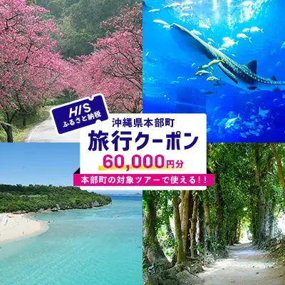 HISふるさと納税クーポン（沖縄県本部町）6万円分 観光 