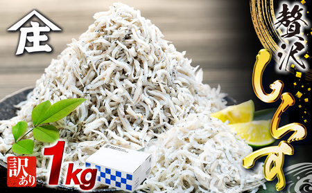 【しらす】 1kg 訳あり 冷凍 ちりめん しらす干し