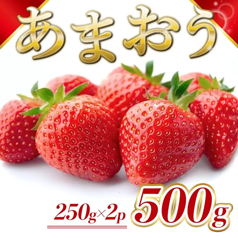 いちご 福岡県産 あまおう 500g (250g×2パック) 先行予約 2027年1月より順次発送 果物 デザート ※配送不可：離島 