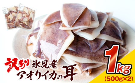 【訳あり】 氷見産 アオリイカの耳（エンペラ） 1kg 〈冷凍〉　イカ