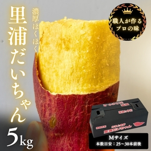 【予約受付中・2026年10月下旬頃より順次発送】鳴門産 さつまいも 『 里浦だいちゃん 』 5kg | なると金時 甘い ホクホク スイーツ 焼き芋 干し芋 天ぷら サラダ けんぴ きんつば　さつまいも