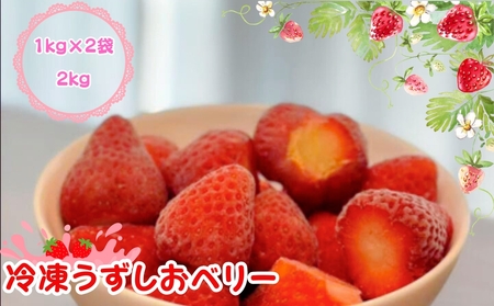 KISAI GARDEN 冷凍 うずしおベリー 2kg | 苺 いちご イチゴ 徳島 鳴門 果物 フルーツ スムージー ジャム　冷凍　いちご