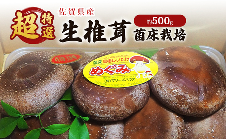 しいたけ 佐賀県産 超特選 生椎茸 菌床栽培 約500g 椎茸 きのこ 