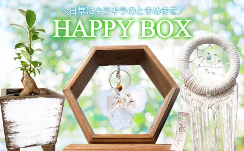 インテリア HAPPY BOX ～運気を引き寄せる4つのアイテム～ ガジュマル・木製プランター・サンキャッチャー・ドリームキャッチャー 雑貨 