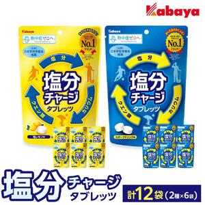 カバヤ　塩分チャージタブレッツ 2種×6袋 計12袋（スポーツドリンク味・塩レモン味）｜カバヤ食品 kabaya かばや 熱中症対策 塩分補給 夏バテ防止 飴 あめ タブレット 塩分チャージタブレッツ お菓子  タブレット セット 岡山市 岡山 詰合せ 詰め合わせ 塩分補給 タブレット