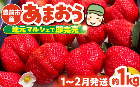 【先行予約】津田くん農園のあまおう 1kg [VDG001] 苺 いちご あまおう