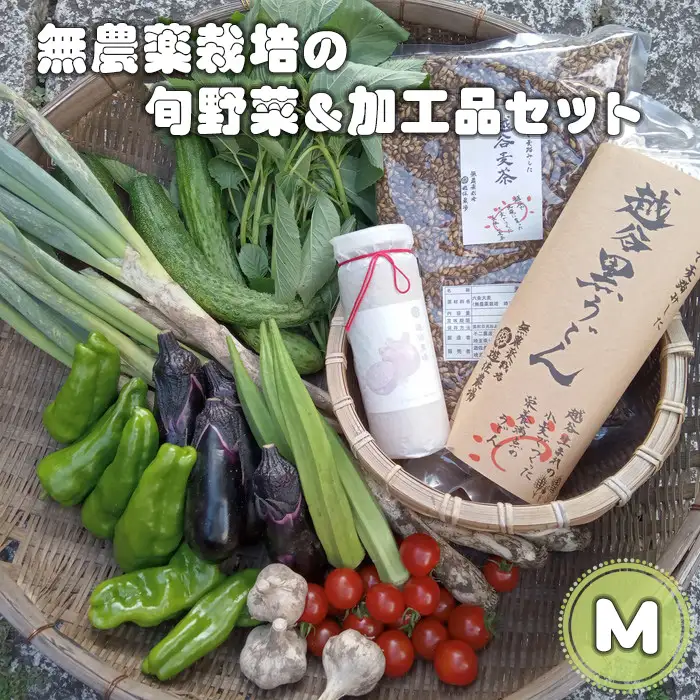 無農薬栽培の旬野菜＆加工品セット M | 野菜 やさい 旬 新鮮 採れたて 産地直送 直送 お取り寄せ 安全 安心 地元 オーガニック野菜 季節野菜 旬野菜 詰合せ 循環農業 埼玉県 越谷市
