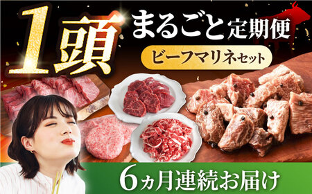 【6回定期便】しろいし牛1頭まるごと 食卓定期便 / 牛肉 [IAH222]