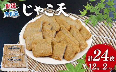 練り物 じゃこ天 24枚 大山かまぼこ店 練り物 C010-007002