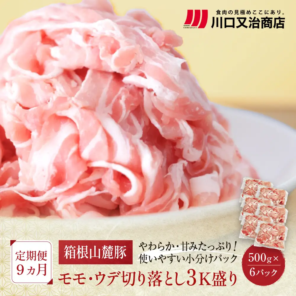 【定期便９ヵ月】箱根山麓豚　モモ・ウデ切り落とし３K盛り(500ｇ×６パック)【 箱根山麓豚 切り落とし 神奈川県 小田原市   豚肉 豚肉】