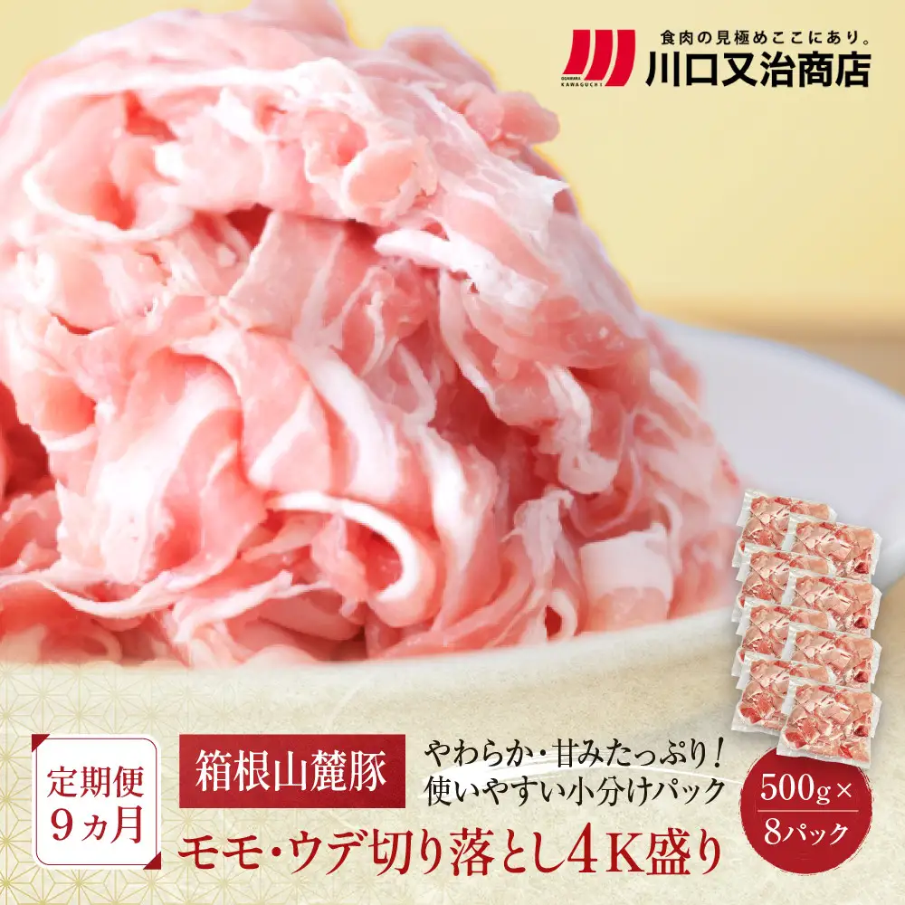 【定期便９ヵ月】箱根山麓豚　モモ・ウデ切り落とし４K盛り(500ｇ×８パック)【 箱根山麓豚 切り落とし 神奈川県 小田原市   豚肉 豚肉】