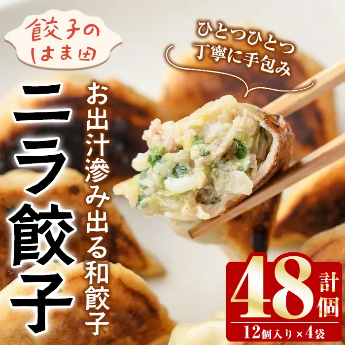 ＼テレビで紹介されました！／ニラ餃子(計48個・12個入り×4袋) 餃子 生餃子 ギョウザ ぎょうざ ギョーザ セット 詰め合わせ おかず お惣菜 冷凍 和風 水餃子【餃子のはま田】akn096-01