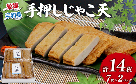 練り物 手押しじゃこ天 14枚 大山かまぼこ店 練り物 C010-007003