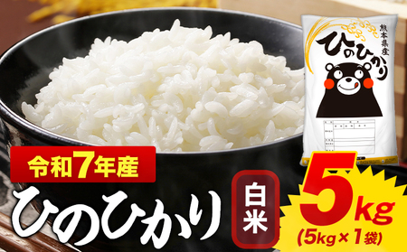 米 令和7年産 白米 ひのひかり 5kg(5kg×1袋)米《1-5日以内に出荷予定(土日祝を除く)》