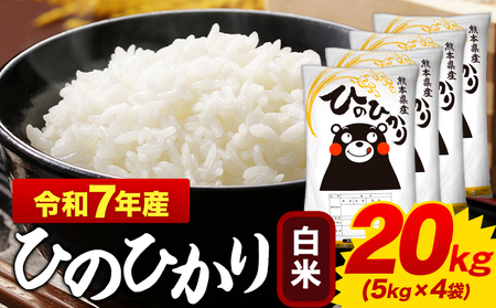 米 令和7年産 白米 ひのひかり 20kg(5kg×4袋) 米《1-5日以内に出荷予定(土日祝を除く)》