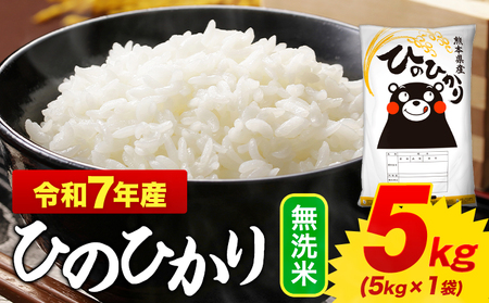 米 令和7年産 無洗米 ひのひかり 5kg(5kg×1袋) 無洗米《1-5日以内に出荷予定(土日祝を除く)》