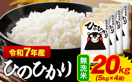 米 令和7年産 無洗米 ひのひかり 20kg(5kg×4袋) 《1-5日以内に出荷予定(土日祝を除く)》