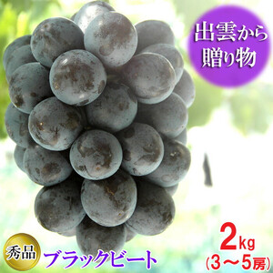 【2026年8月中旬以降発送】[農家直送]厳選ブラックビート2kg箱（3～5房）[持田農園]