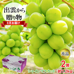 【2026年8月発送】[農家直送]厳選シャインマスカット1.2kg箱（8月出荷）[持田農園]
