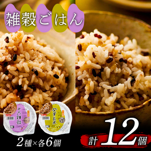 【国産100%】パックご飯 玄米 雑穀 2種食べ比べ 160g×12個 パックごはん 幸南食糧