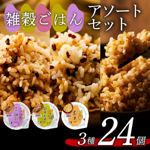 【国産100%】パックご飯 玄米 雑穀 3種食べ比べ 160g×24個 パックごはん 幸南食糧