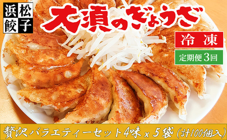 【定期便3回】浜松餃子 大須のぎょうざ［ 浜松ぎょうざ 贅沢バラエティーセット 4味 ＜ レギュラー、こいくち、スタミナ、こくうま ＞］× 5袋（1袋20個入、合計100個） 