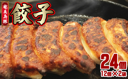 【奄美島豚】餃子 24個（12個×2袋・約680g） 豚肉 島豚