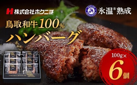 ＜大山物語＞　氷温®熟成 鳥取和牛100%手造りハンバーグ 100g×6
