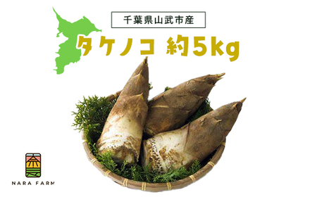 タケノコ 約5kg 【 ふるさと納税 人気 おすすめ ランキング 筍 山菜 タケノコ 野菜 やさい お取り寄せ ご当地 特産品 千葉県 山武市 送料無料 】SMAF003