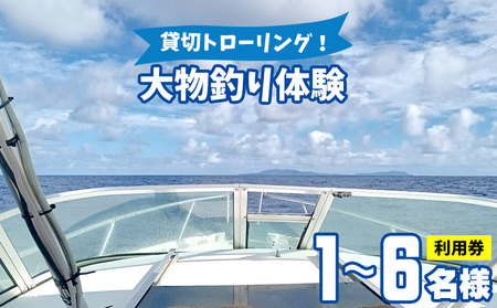 貸切トローリング！「大物釣り体験」1～6名様ご利用券