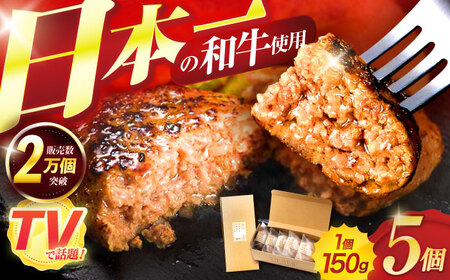 ながさきふわとろハンバーグ 150g×5個入 / ハンバーグ はんばーぐ 肉 牛肉 豚肉 おかず 惣菜 / 諫早市 / ワールド・ミート有限会社 [AHBG005]