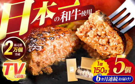 【6回定期便】ながさきふわとろハンバーグ 150g×5個入 / ハンバーグ はんばーぐ 肉 牛肉 豚肉 おかず 惣菜 定期便 / 諫早市 / ワールド・ミート有限会社 [AHBG007]
