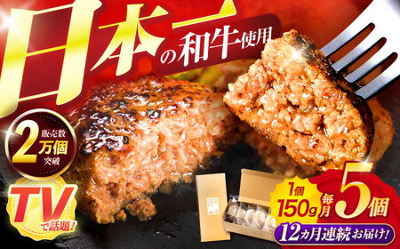 【12回定期便】ながさきふわとろハンバーグ 150g×5個入 / ハンバーグ はんばーぐ 肉 牛肉 豚肉 おかず 惣菜 定期便 / 諫早市 / ワールド・ミート有限会社 [AHBG008]
