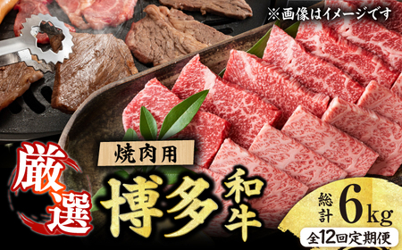【12回定期便】焼肉用 500g  / 焼き肉 和牛[AFBO072]