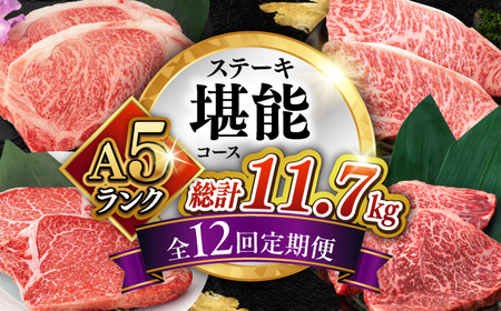 【12回定期便】長崎和牛 A5 ステーキ堪能コース 総計11.7kg / モモ リブロース イチボ サーロイン ランプ ヒレ レモンステーキ / 肉 牛肉 ステーキ 焼肉 / 諫早市 / 野中精肉店 [AHCW086]