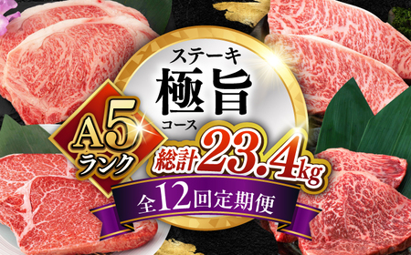 【12回定期便】長崎和牛 A5 ステーキ極旨コース 総計23.4kg / モモ リブロース イチボ サーロイン ランプ ヒレ レモンステーキ / 肉 牛肉 ステーキ 焼肉 / 諫早市 / 野中精肉店 [AHCW087]