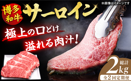 【2回定期便】サーロイン ステーキ 200g×5枚 / ステーキ お肉 牛肉 サーロイン [AFBV018]