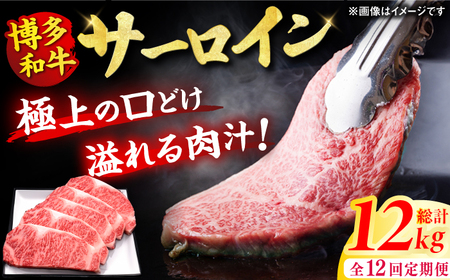 【12回定期便】サーロイン ステーキ 200g×5枚 / ステーキ お肉 牛肉 サーロイン [AFBV022]
