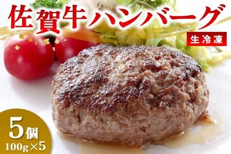 レンジで簡単調理!佐賀牛ハンバーグ(生冷凍)(H106201)