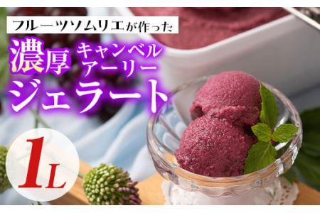 フルーツソムリエが作った濃厚キャンベルアーリージェラート(1L) ぶどう 葡萄 アイス アイスクリーム 手作り スイーツ お土産 ＜離島配送不可＞【ksg0051】【南国フルーツ】