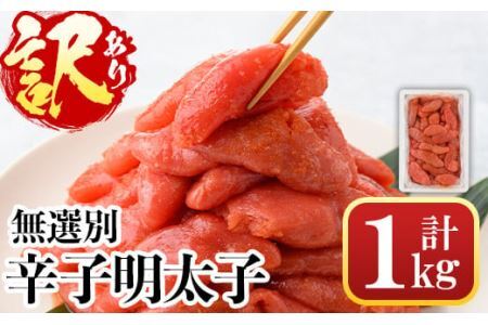 ＜訳あり・無選別＞辛子明太子(計1kg) 明太子 めんたいこ 冷凍 海鮮 博多名物 家庭用＜離島配送不可＞【ksg0089】【城戸酒店】