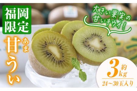 ＜先行予約受付中！2026年10月下旬～11月下旬に順次発送予定＞甘うぃ キウイ(約3kg・24-30玉)＜離島配送不可＞【ksg0125】【南国フルーツ】