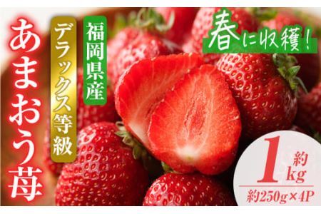 ＜先行予約受付中！2027年2月上旬～2027年3月末に順次発送予定＞あまおうDX(デラックス)・春(計約1kg・約250g×4P)いちご 苺 フルーツ 果物 くだもの 福岡限定 家庭用 冷蔵 ＜離島配送不可＞【ksg0473】【南国フルーツ】