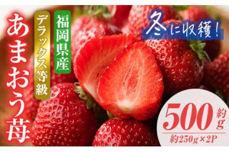 ＜先行予約受付中！2026年12月上旬から2027年1月下旬にかけて順次発送予定＞あまおうDX(デラックス)・冬(計約500g・約250g×2P)いちご 苺 フルーツ 果物 くだもの 福岡限定 家庭用 冷蔵 ＜離島配送不可＞【ksg0474】【南国フルーツ】