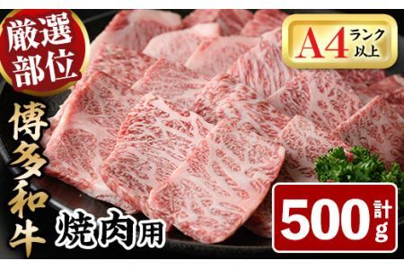 博多和牛焼肉用(500g)牛肉 黒毛和牛 国産 BBQ 化粧箱 贈答 ギフト プレゼント＜離島配送不可＞【ksg0287】【MEATPLUS】