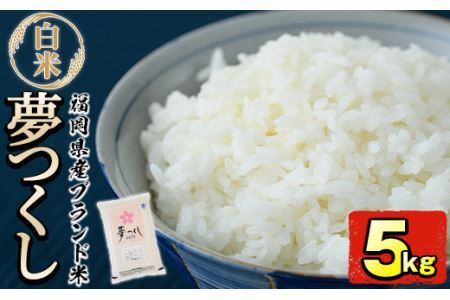 ＜令和7年産＞福岡県産ブランド米「夢つくし」白米(5kg)お米 白米 5キロ ごはん ご飯【ksg0370】【朝ごはん本舗】