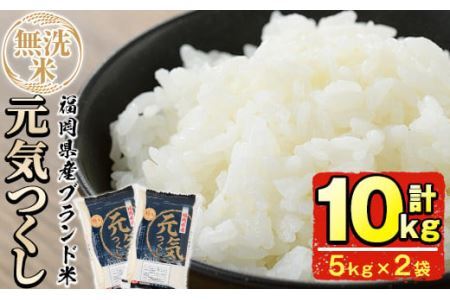 ＜令和7年産＞福岡県産ブランド米「元気つくし」無洗米(計10kg・5kg×2袋)お米 10キロ ごはん ご飯【ksg0379】【朝ごはん本舗】
